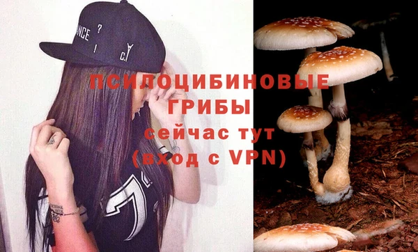 хмурый Горнозаводск