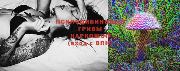 не бодяженный Горно-Алтайск