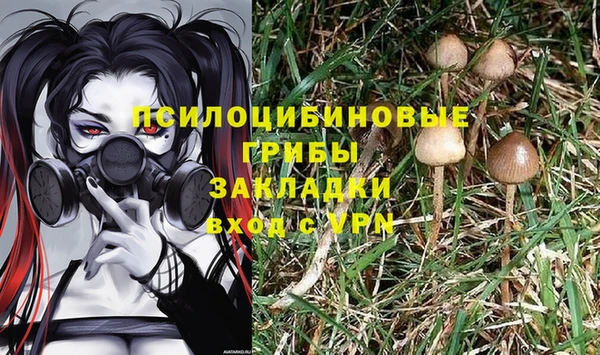 не бодяженный Горно-Алтайск