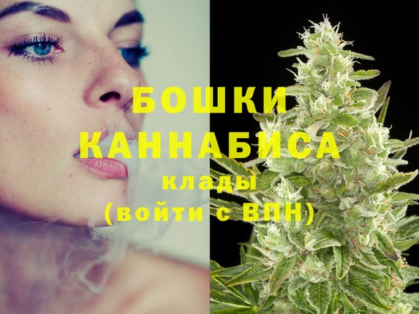 не бодяженный Горно-Алтайск