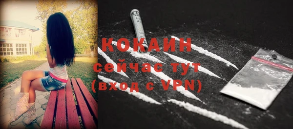 МДПВ Горняк