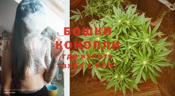 не бодяженный Горно-Алтайск