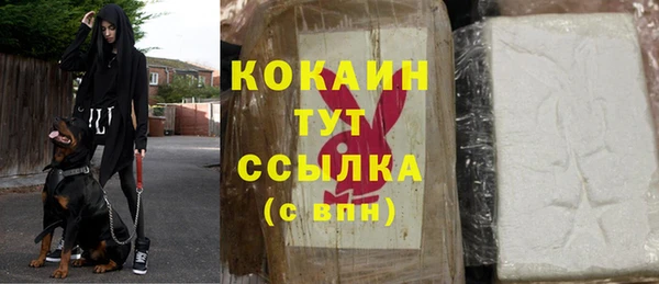 не бодяженный Горно-Алтайск