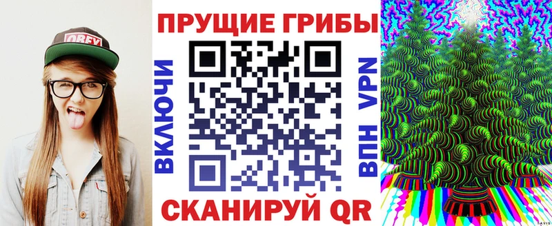 Купить закладки  Жиздра  Галлюциногенные грибы прущие грибы 